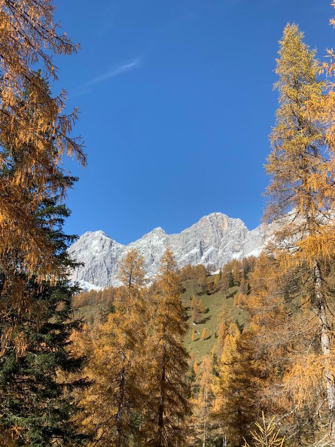 Aparthotel Das Hochkoenig Ramsau am Dachstein Eksteriør bilde